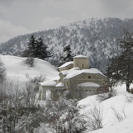 Guesthouse Theodorou Eláti Екстериор снимка