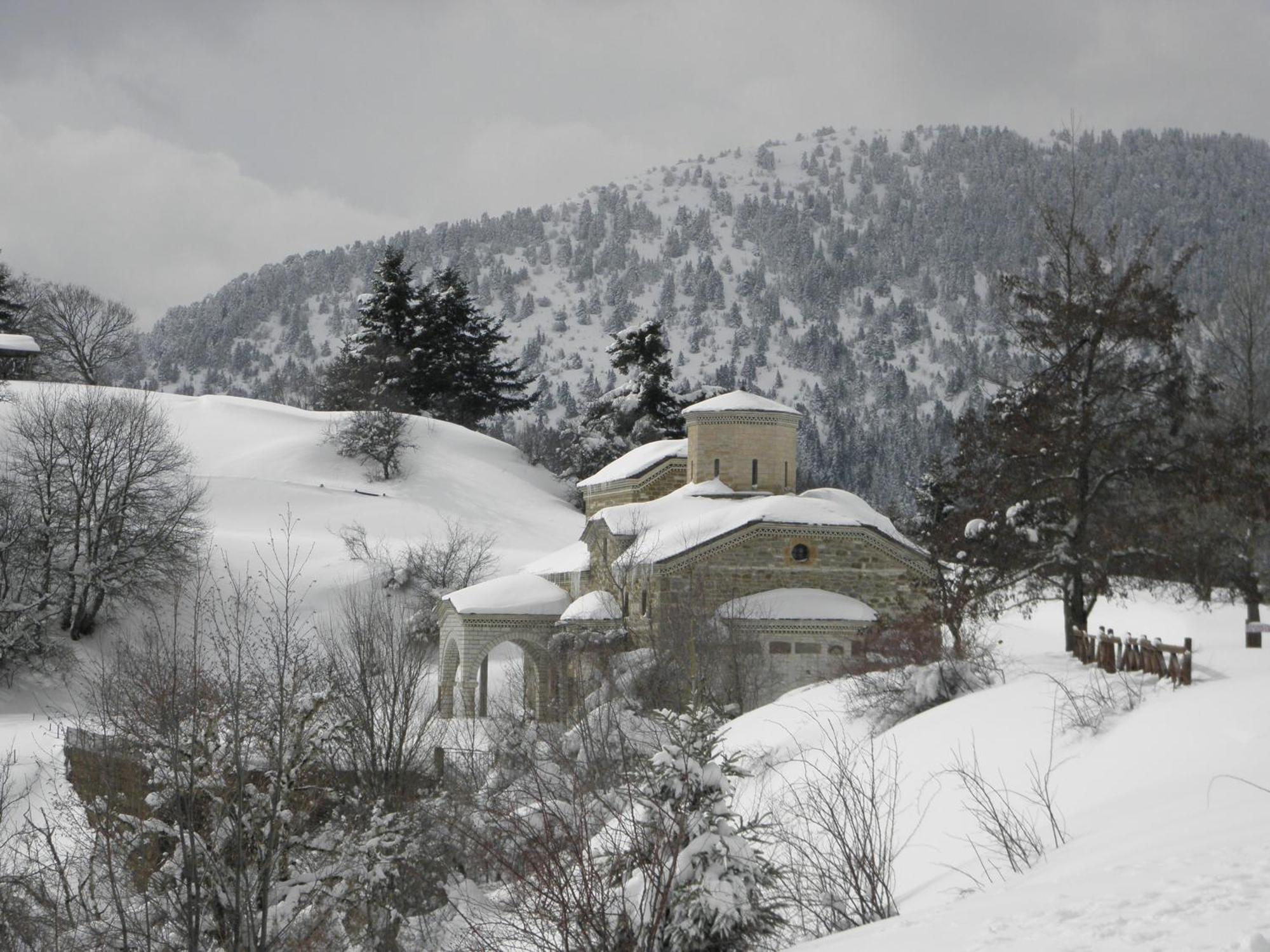 Guesthouse Theodorou Eláti Екстериор снимка